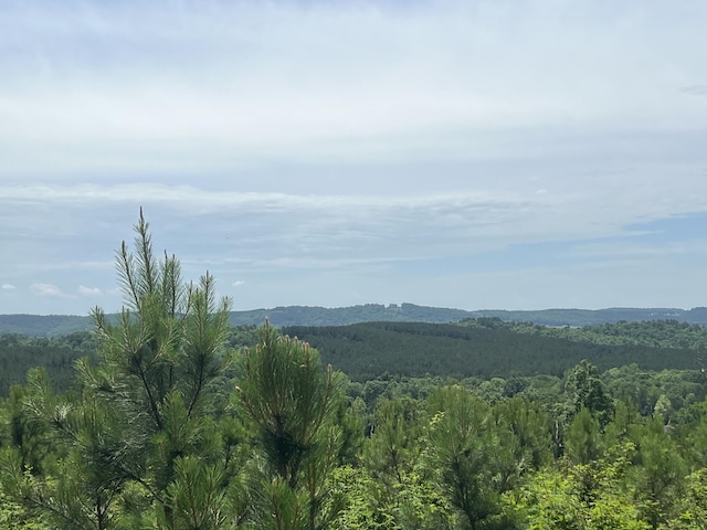4875 New Union Rd, Dayton, TN 37321 - photo 25