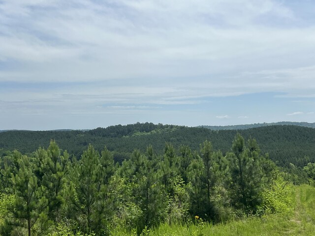 4875 New Union Rd, Dayton, TN 37321 - photo 22