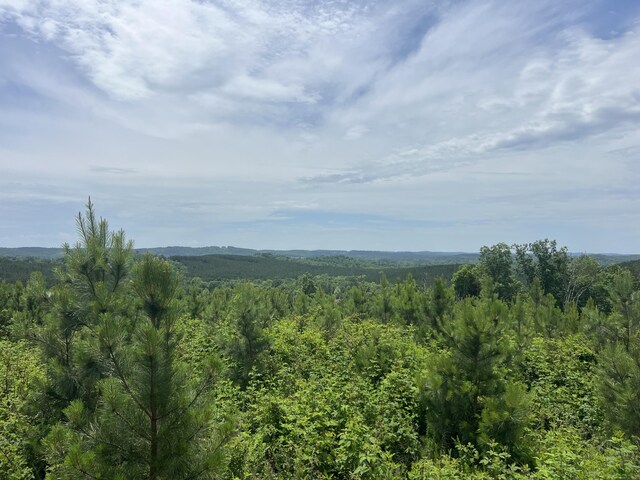 4875 New Union Rd, Dayton, TN 37321 - photo 27