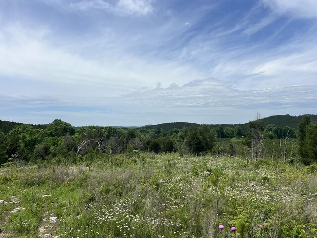 4875 New Union Rd, Dayton, TN 37321 - photo 11