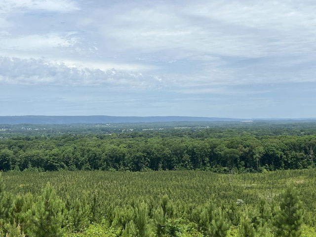 4875 New Union Rd, Dayton, TN 37321 - photo 18