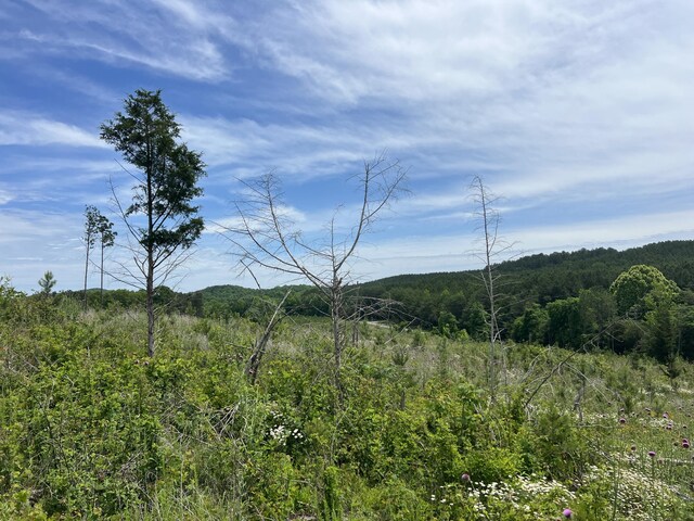 4875 New Union Rd, Dayton, TN 37321 - photo 7