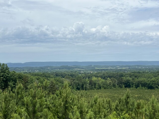 4875 New Union Rd, Dayton, TN 37321 - photo 16
