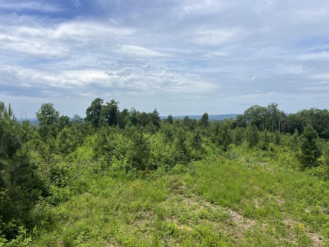 4875 New Union Rd, Dayton, TN 37321 - photo 32