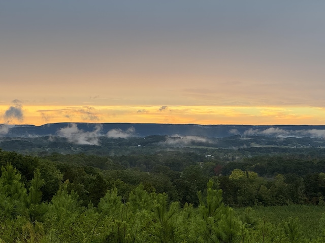 4875 New Union Rd, Dayton, TN 37321 - photo 1