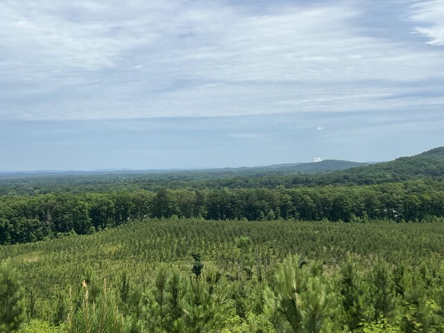 4875 New Union Rd, Dayton, TN 37321 - photo 20