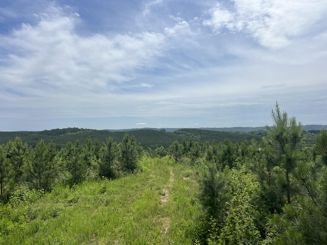 4875 New Union Rd, Dayton, TN 37321 - photo 28