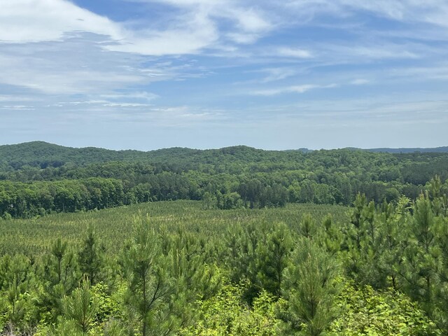 4875 New Union Rd, Dayton, TN 37321 - photo 21