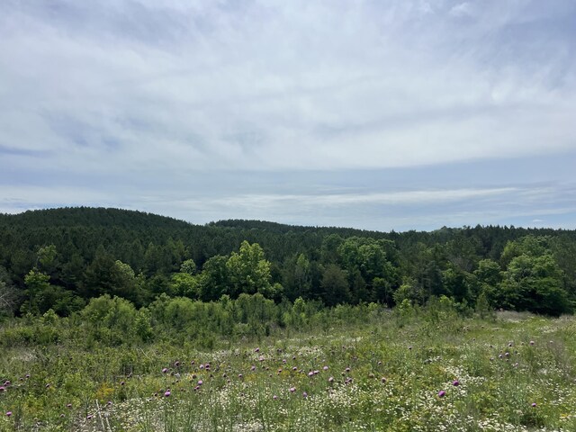4875 New Union Rd, Dayton, TN 37321 - photo 9