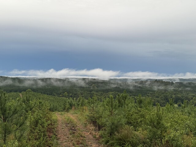 4875 New Union Rd, Dayton, TN 37321 - photo 5