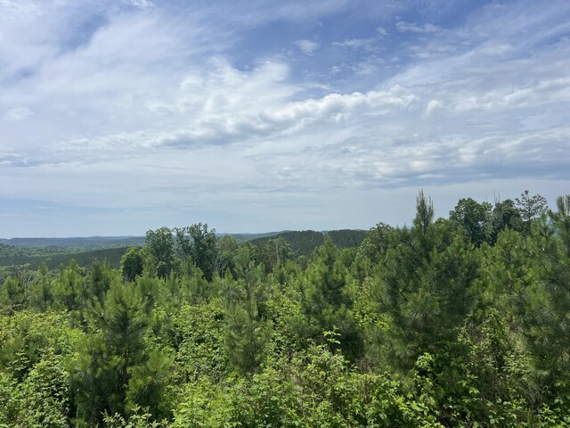 4875 New Union Rd, Dayton, TN 37321 - photo 26