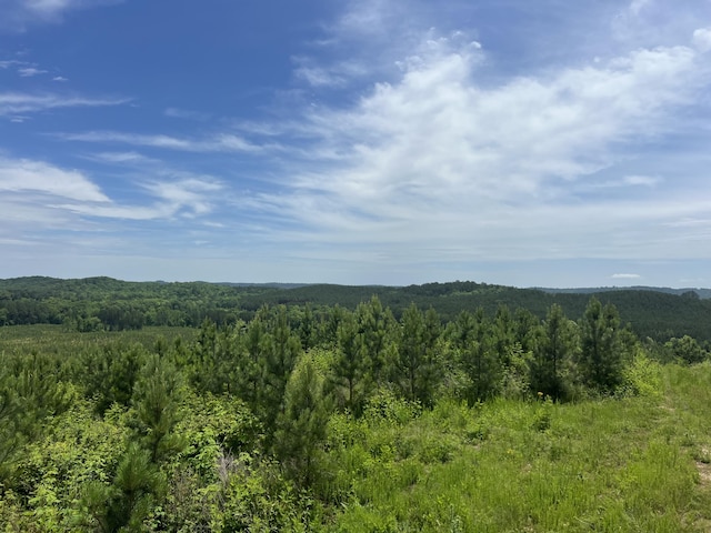 4875 New Union Rd, Dayton, TN 37321 - photo 29