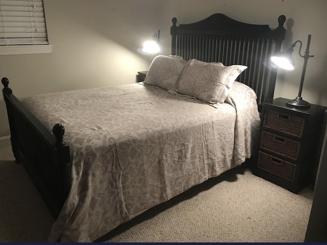 14318 Bluffview Dr, Birchwood, TN 37308 - view of carpeted bedroom