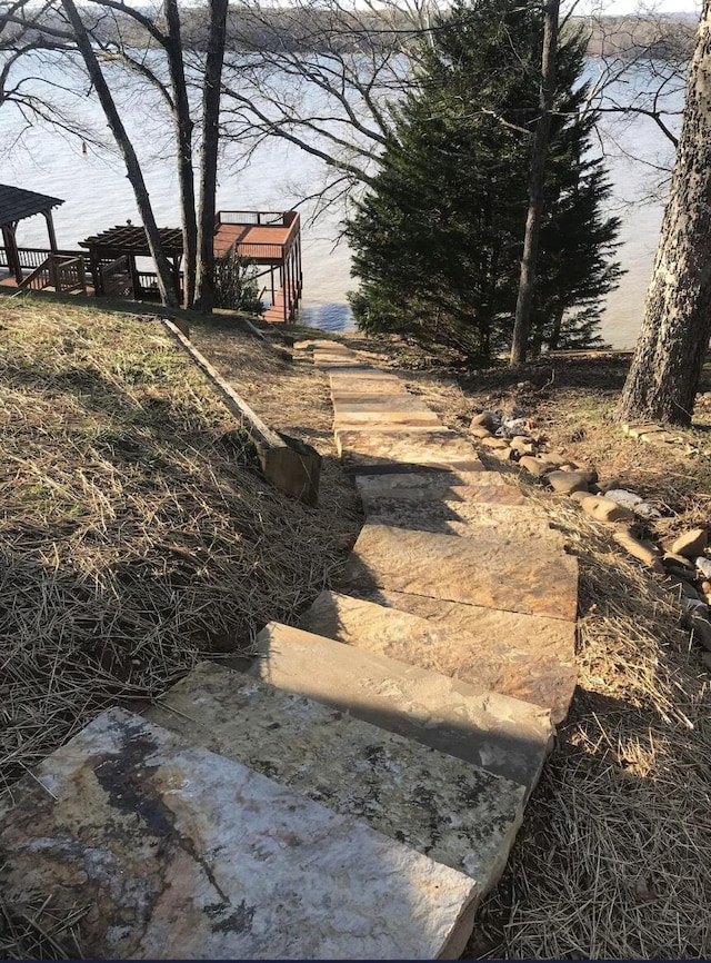 14318 Bluffview Dr, Birchwood, TN 37308 - view of yard