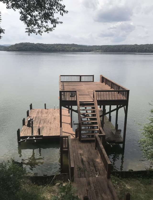 14318 Bluffview Dr, Birchwood, TN 37308 - dock with a water view