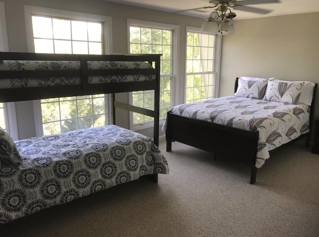 14318 Bluffview Dr, Birchwood, TN 37308 - carpeted bedroom featuring multiple windows and a ceiling fan