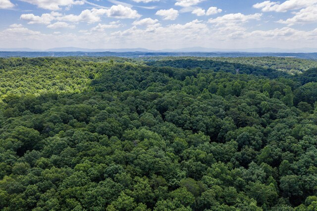 1636 White Oak Rd NW, Cleveland, TN 37312 - photo 39