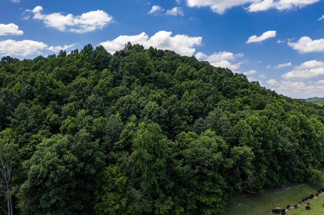 1636 White Oak Rd NW, Cleveland, TN 37312 - photo 34