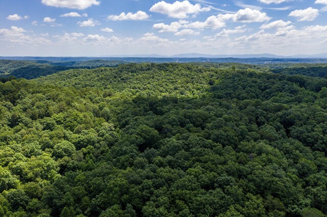 1636 White Oak Rd NW, Cleveland, TN 37312 - photo 38