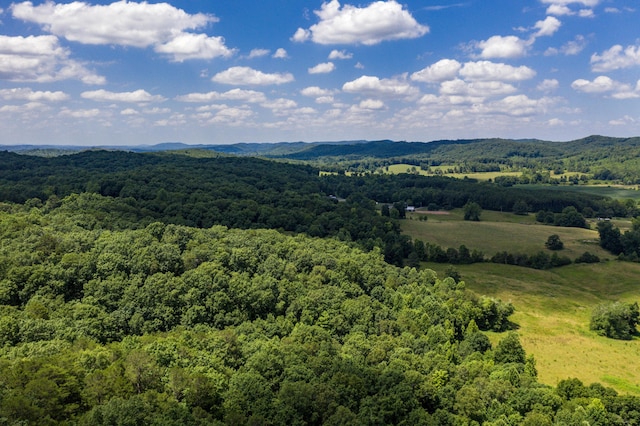 1636 White Oak Rd NW, Cleveland, TN 37312 - photo 45