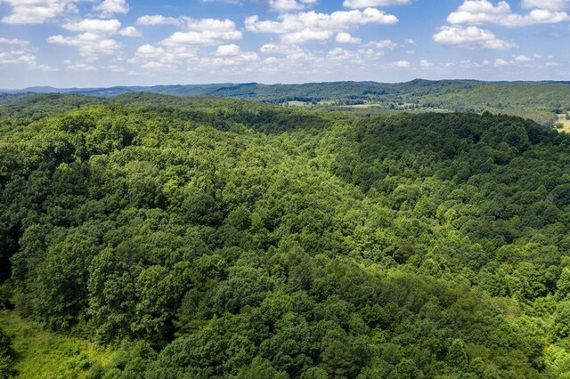1636 White Oak Rd NW, Cleveland, TN 37312 - photo 29