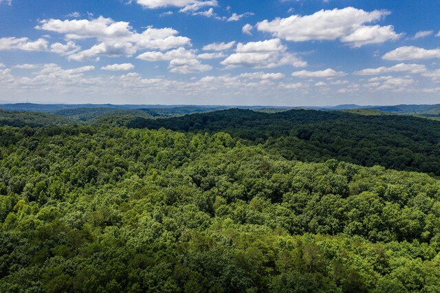1636 White Oak Rd NW, Cleveland, TN 37312 - photo 44