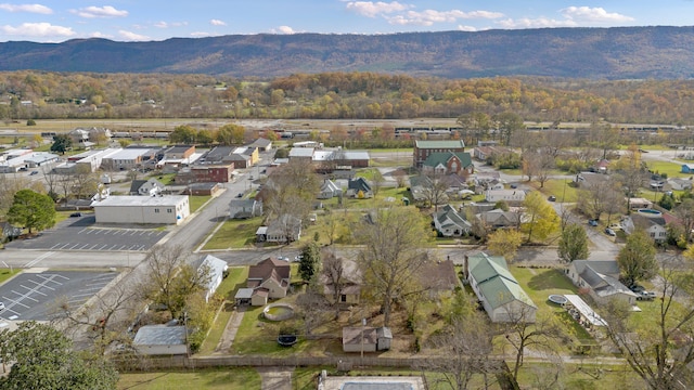 drone / aerial view featuring a mountain view