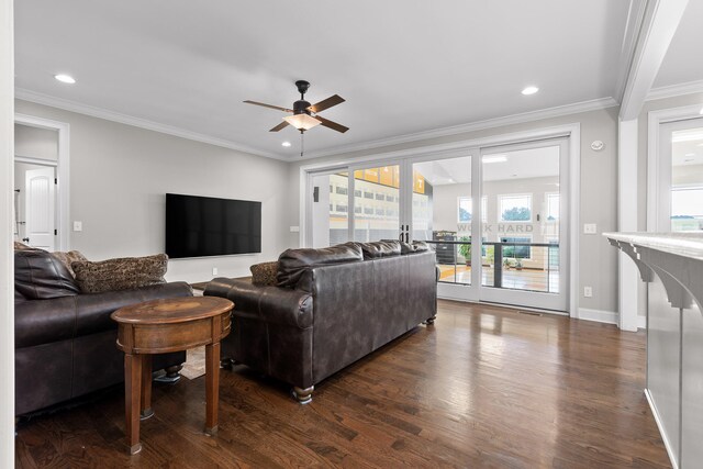 living room featuring ceiling fan, ornamental molding, and dark wood-type flooring