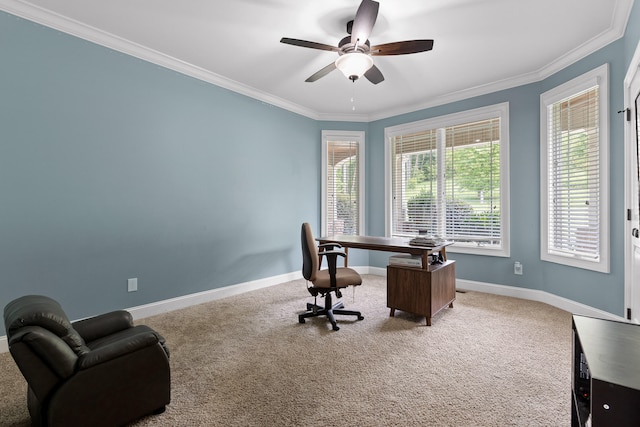 carpeted office featuring ceiling fan and ornamental molding