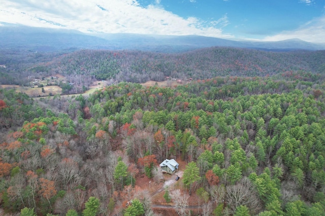 drone / aerial view featuring a mountain view