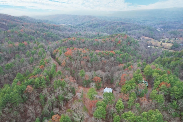 drone / aerial view featuring a mountain view