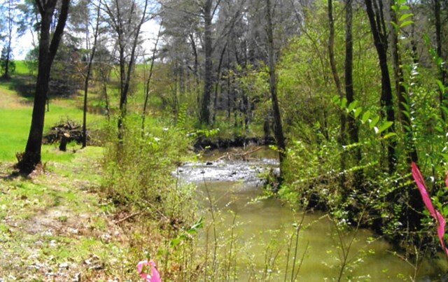 LOT35 Watauga Ln, Birchwood, TN 37308 - photo 4