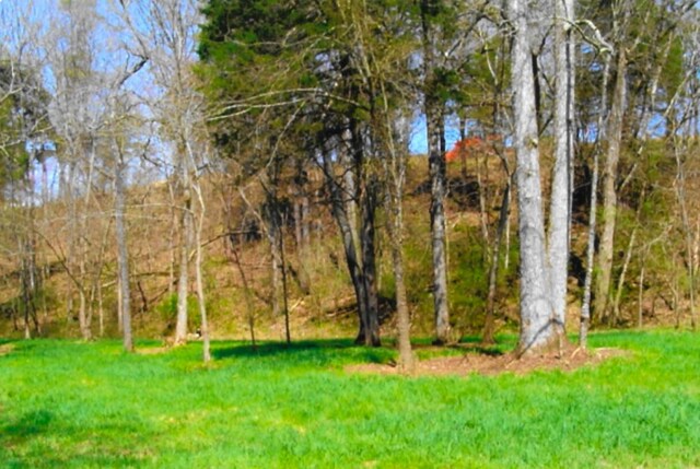 LOT35 Watauga Ln, Birchwood, TN 37308 - photo 5