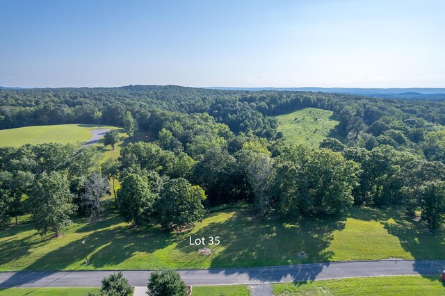LOT35 Watauga Ln, Birchwood, TN 37308 - photo 1