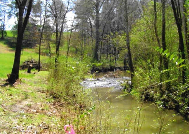 LOT35 Watauga Ln, Birchwood, TN 37308 - photo 2