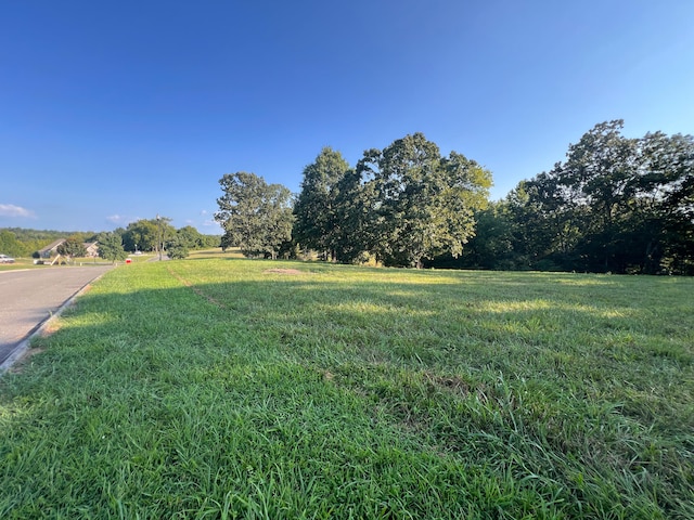 Listing photo 3 for LOT35 Watauga Ln, Birchwood TN 37308