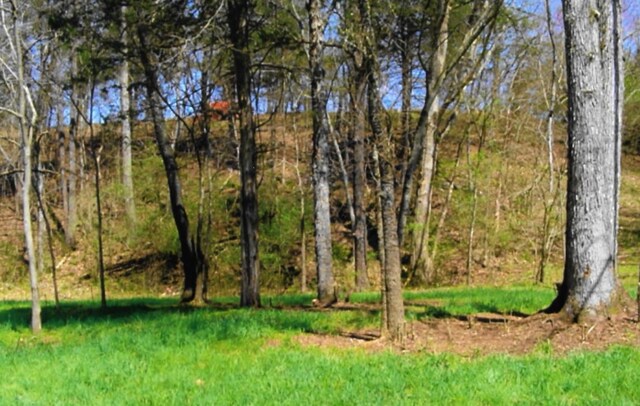 LOT35 Watauga Ln, Birchwood, TN 37308 - photo 3