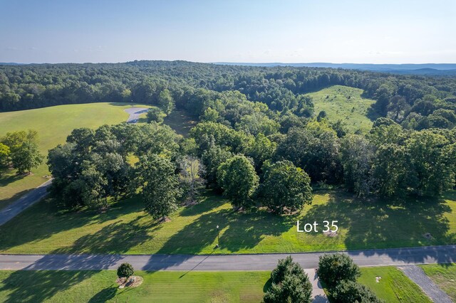 LOT35 Watauga Ln, Birchwood, TN 37308 - photo 6