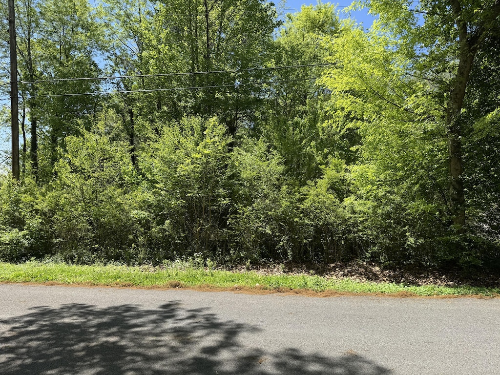00 Eleanor Dr, Cleveland, TN 37323 - photo 1