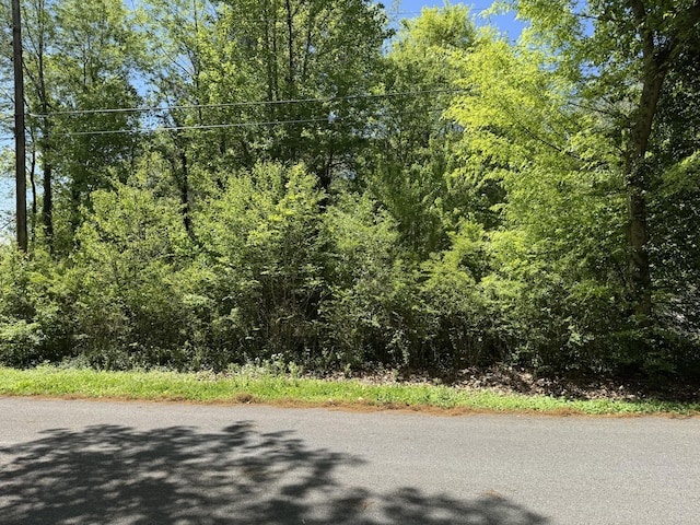 00 Eleanor Dr, Cleveland, TN 37323 - photo 1