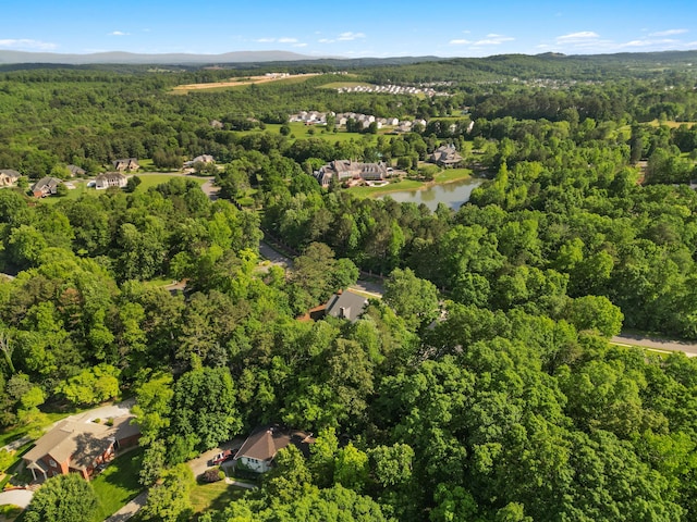 260 Anatole Ln NW, Cleveland, TN 37312 - photo 32