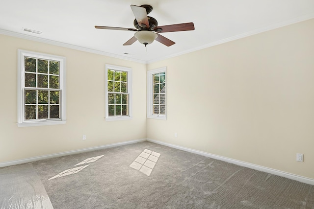 260 Anatole Ln NW, Cleveland, TN 37312 - photo 24