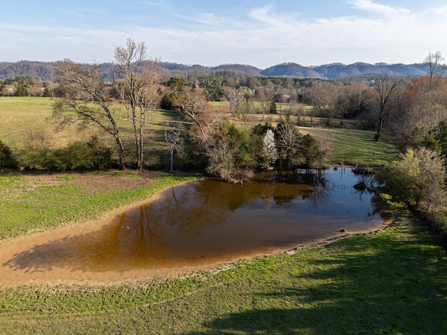 property view of water featuring a mountain view