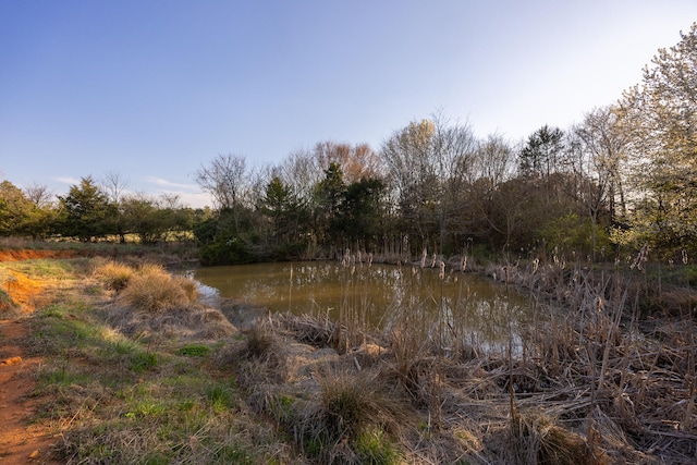 view of local wilderness with a water view