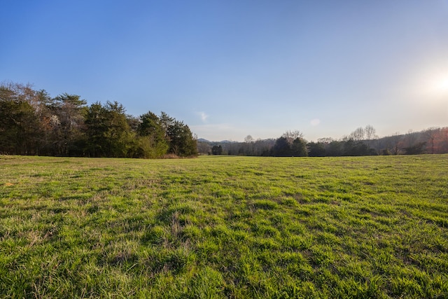 view of yard featuring a rural view