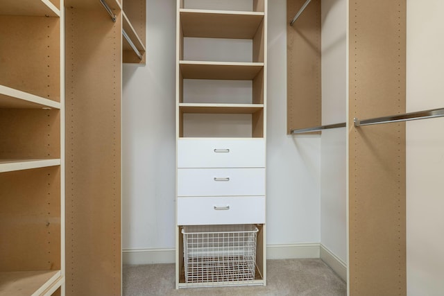 spacious closet featuring carpet flooring