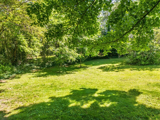 725 Brookfield Ave, Chattanooga, TN 37412 - photo 42