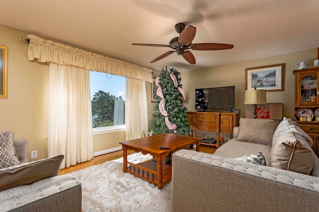 living room with ceiling fan, light hardwood / wood-style floors, and a textured ceiling