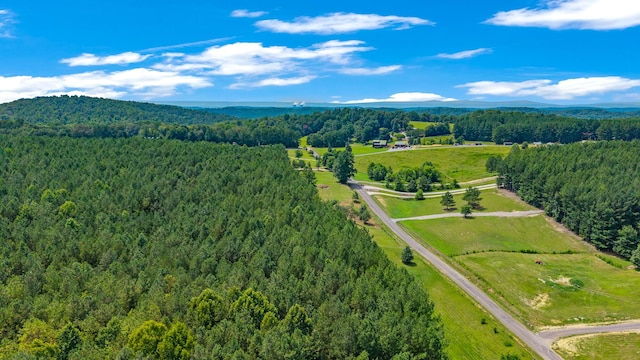 129 County Road 192, Niota, TN 37826 - photo 31