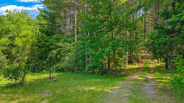 129 County Road 192, Niota, TN 37826 - photo 29